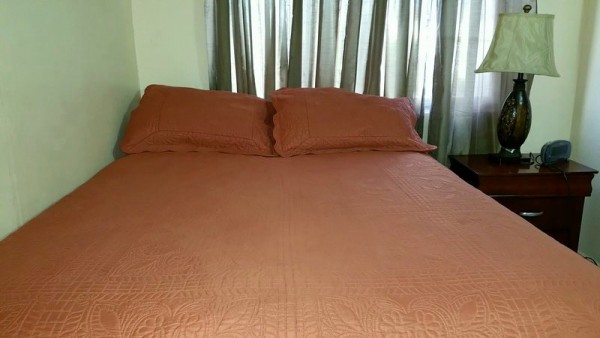 New Kingston Guest Apt I, New Kingston, Jamaica